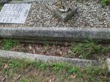 image of grave number 113532